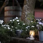 カントリーハウス Podere Don Peppe 1884