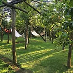 Podere Don Peppe 1884