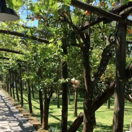 Podere Don Peppe 1884 * Massa Lubrense
