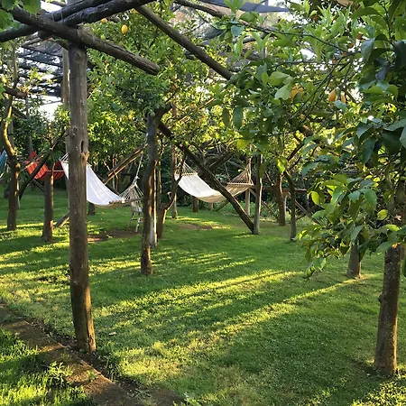 Podere Don Peppe 1884