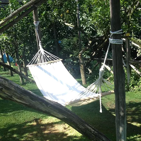 Podere Don Peppe 1884 *